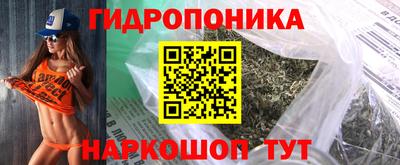 стаф Нальчик