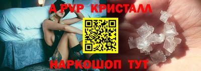 стаф Нальчик