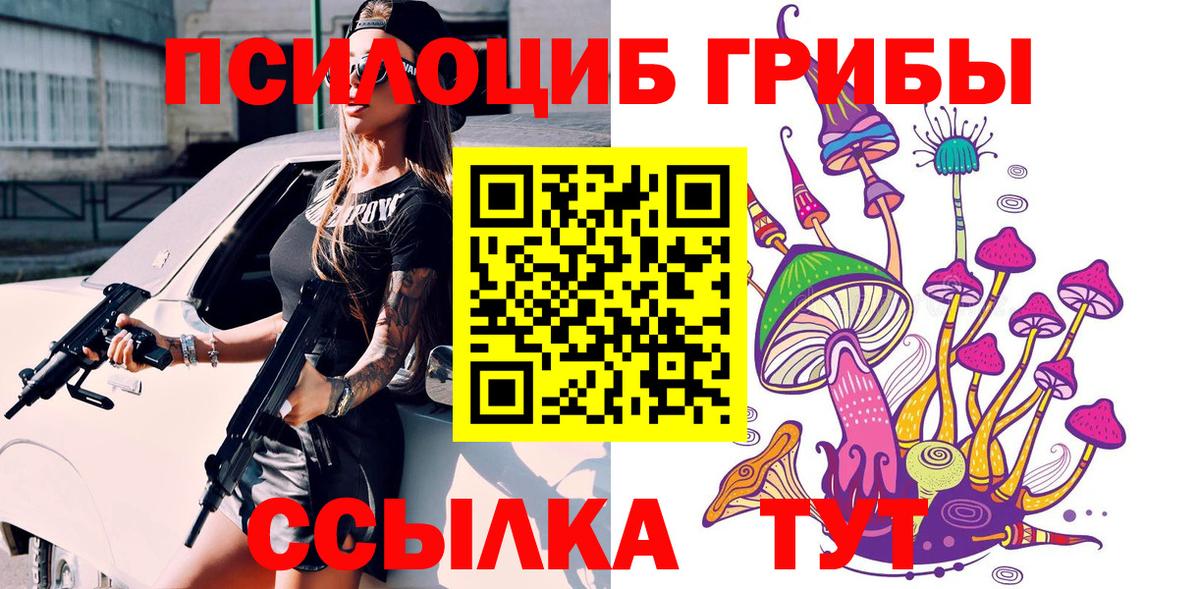 Галлюциногенные грибы мухоморы  дарнет шоп  Шатура  Вход с VPN 